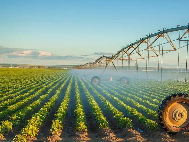 锡林郭勒马铃薯圈